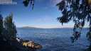./images/koeye/fitz-hugh/20260617/fitz-hugh20260617_075501M.jpg