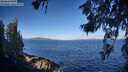./images/koeye/fitz-hugh/20260617/fitz-hugh20260617_081001M.jpg