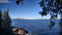 ./images/koeye/fitz-hugh/20260617/fitz-hugh20260617_082002M.jpg