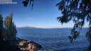 ./images/koeye/fitz-hugh/20260617/fitz-hugh20260617_082501M.jpg
