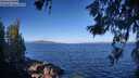 ./images/koeye/fitz-hugh/20260617/fitz-hugh20260617_083001M.jpg