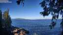 ./images/koeye/fitz-hugh/20260617/fitz-hugh20260617_083501M.jpg