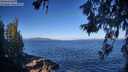 ./images/koeye/fitz-hugh/20260617/fitz-hugh20260617_084001M.jpg