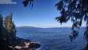 ./images/koeye/fitz-hugh/20260617/fitz-hugh20260617_090501M.jpg