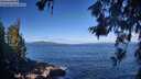./images/koeye/fitz-hugh/20260617/fitz-hugh20260617_091502M.jpg
