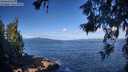 ./images/koeye/fitz-hugh/20260617/fitz-hugh20260617_092501M.jpg