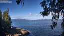 ./images/koeye/fitz-hugh/20260617/fitz-hugh20260617_093001M.jpg
