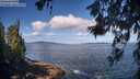 ./images/koeye/fitz-hugh/20260617/fitz-hugh20260617_094501M.jpg