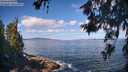 ./images/koeye/fitz-hugh/20260617/fitz-hugh20260617_095002M.jpg