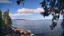 ./images/koeye/fitz-hugh/20260617/fitz-hugh20260617_100001M.jpg