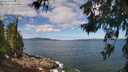 ./images/koeye/fitz-hugh/20260617/fitz-hugh20260617_104502M.jpg