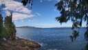 ./images/koeye/fitz-hugh/20260617/fitz-hugh20260617_105501M.jpg