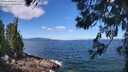 ./images/koeye/fitz-hugh/20260617/fitz-hugh20260617_111501M.jpg