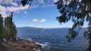 ./images/koeye/fitz-hugh/20260617/fitz-hugh20260617_112501M.jpg