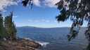 ./images/koeye/fitz-hugh/20260617/fitz-hugh20260617_113001M.jpg