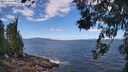 ./images/koeye/fitz-hugh/20260617/fitz-hugh20260617_114001M.jpg