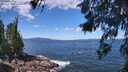 ./images/koeye/fitz-hugh/20260617/fitz-hugh20260617_114501M.jpg