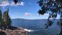 ./images/koeye/fitz-hugh/20260617/fitz-hugh20260617_115001M.jpg