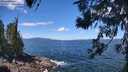 ./images/koeye/fitz-hugh/20260617/fitz-hugh20260617_120501M.jpg