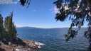 ./images/koeye/fitz-hugh/20260617/fitz-hugh20260617_122501M.jpg
