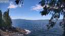 ./images/koeye/fitz-hugh/20260617/fitz-hugh20260617_123001M.jpg