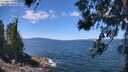 ./images/koeye/fitz-hugh/20260617/fitz-hugh20260617_123501M.jpg