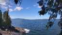 ./images/koeye/fitz-hugh/20260617/fitz-hugh20260617_124001M.jpg