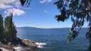 ./images/koeye/fitz-hugh/20260617/fitz-hugh20260617_124501M.jpg