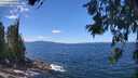 ./images/koeye/fitz-hugh/20260617/fitz-hugh20260617_130501M.jpg