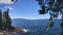 ./images/koeye/fitz-hugh/20260617/fitz-hugh20260617_131001M.jpg
