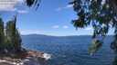./images/koeye/fitz-hugh/20260617/fitz-hugh20260617_131501M.jpg