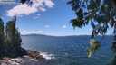./images/koeye/fitz-hugh/20260617/fitz-hugh20260617_132501M.jpg