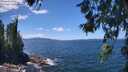 ./images/koeye/fitz-hugh/20260617/fitz-hugh20260617_133001M.jpg