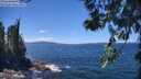 ./images/koeye/fitz-hugh/20260617/fitz-hugh20260617_134002M.jpg