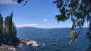 ./images/koeye/fitz-hugh/20260617/fitz-hugh20260617_135501M.jpg