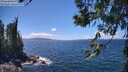 ./images/koeye/fitz-hugh/20260617/fitz-hugh20260617_141502M.jpg