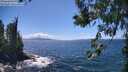 ./images/koeye/fitz-hugh/20260617/fitz-hugh20260617_144502M.jpg