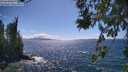 ./images/koeye/fitz-hugh/20260617/fitz-hugh20260617_154002M.jpg