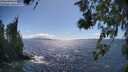 ./images/koeye/fitz-hugh/20260617/fitz-hugh20260617_155501M.jpg