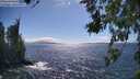 ./images/koeye/fitz-hugh/20260617/fitz-hugh20260617_160001M.jpg