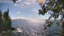 ./images/koeye/fitz-hugh/20260617/fitz-hugh20260617_163002M.jpg