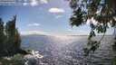 ./images/koeye/fitz-hugh/20260617/fitz-hugh20260617_163501M.jpg
