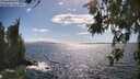 ./images/koeye/fitz-hugh/20260617/fitz-hugh20260617_164001M.jpg