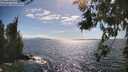 ./images/koeye/fitz-hugh/20260617/fitz-hugh20260617_164501M.jpg