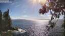 ./images/koeye/fitz-hugh/20260617/fitz-hugh20260617_171501M.jpg