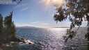 ./images/koeye/fitz-hugh/20260617/fitz-hugh20260617_172001M.jpg
