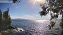 ./images/koeye/fitz-hugh/20260617/fitz-hugh20260617_172502M.jpg