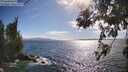 ./images/koeye/fitz-hugh/20260617/fitz-hugh20260617_173002M.jpg