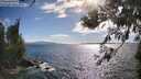 ./images/koeye/fitz-hugh/20260617/fitz-hugh20260617_173502M.jpg
