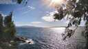 ./images/koeye/fitz-hugh/20260617/fitz-hugh20260617_174002M.jpg